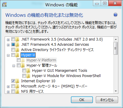 Windows Home Server 2011 導入