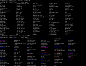 FreeBSD12 COLORTERM変数とls --color=autoとセットでカラー表示