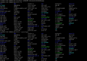 FreeBSD lsのカラー表示の色を変更